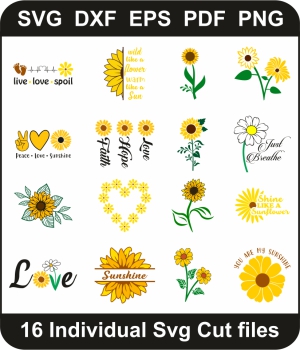 Daisy-Flower-Svg-Bundle